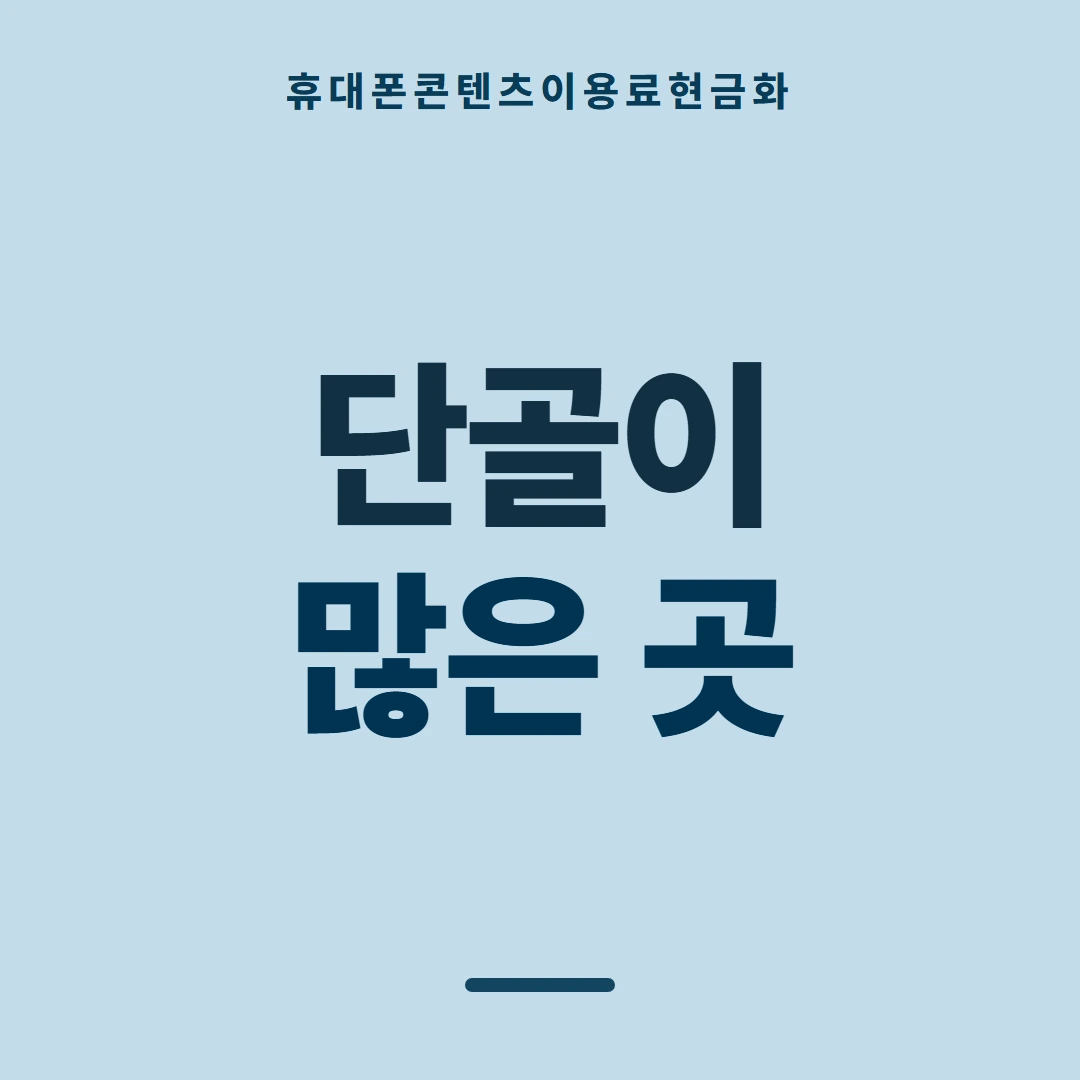 품티켓 휴대폰 회선의 콘텐츠이용료현금화 요금에 얹히는 방식 안내 이미지